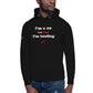 I'm a 10 and I'm Healing:  Unisex Hoodie