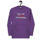 I'm a 10 and I'm Healing:  Unisex Hoodie